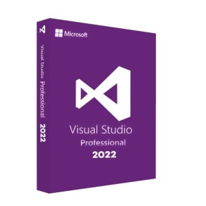 Microsoft Visual Studio 2022 Pro Win (Email delivery)