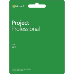 Microsoft Office Project Professional 2019 Windows (Email delivery)