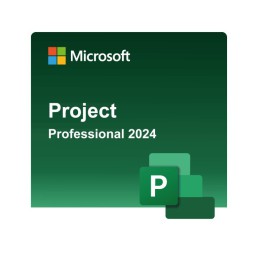 Microsoft Office Project Professional 2024 Windows (Email delivery)