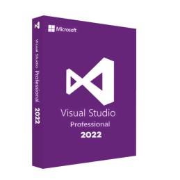 Microsoft Visual Studio 2022 Pro Win (Email delivery)