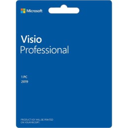 Microsoft Visio Professional 2019 Windows (Email delivery)