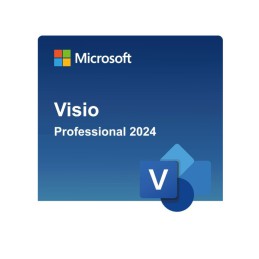 Microsoft Visio Professional 2024 Windows (Email delivery)