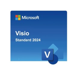 Microsoft Visio Standard 2024 Windows (Email delivery)