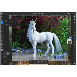 The world’s best imaging and graphic design software is at the core of just about every creative project, from photo editing and