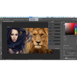 The world’s best imaging and graphic design software is at the core of just about every creative project, from photo editing and