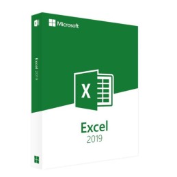 Microsoft Excel 2019 Windows (download delivery)