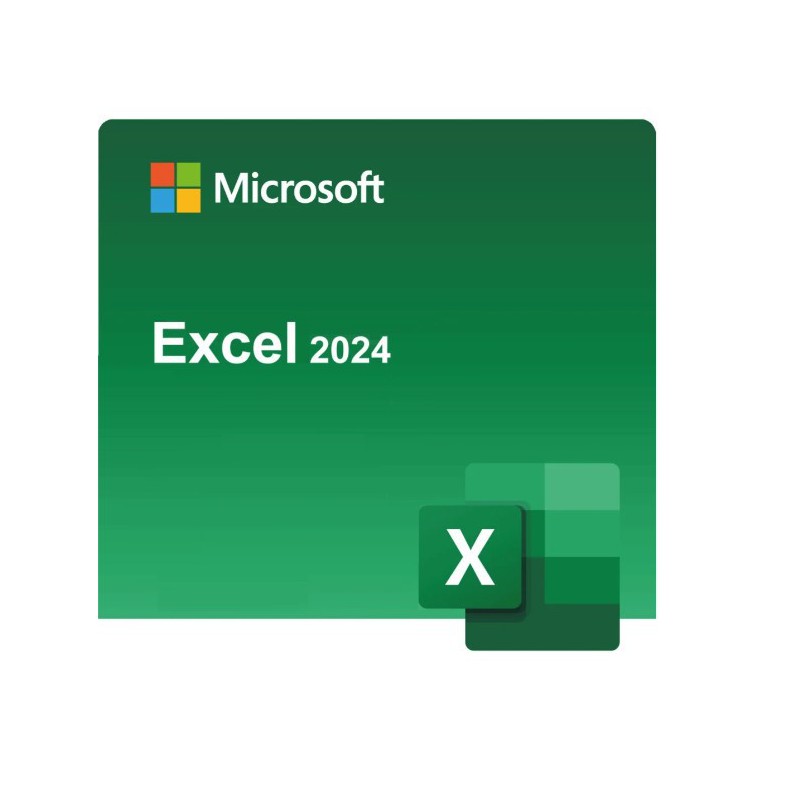 Microsoft Excel 2024 Windows (Email delivery)