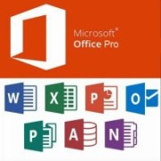 Microsoft Office Professional
